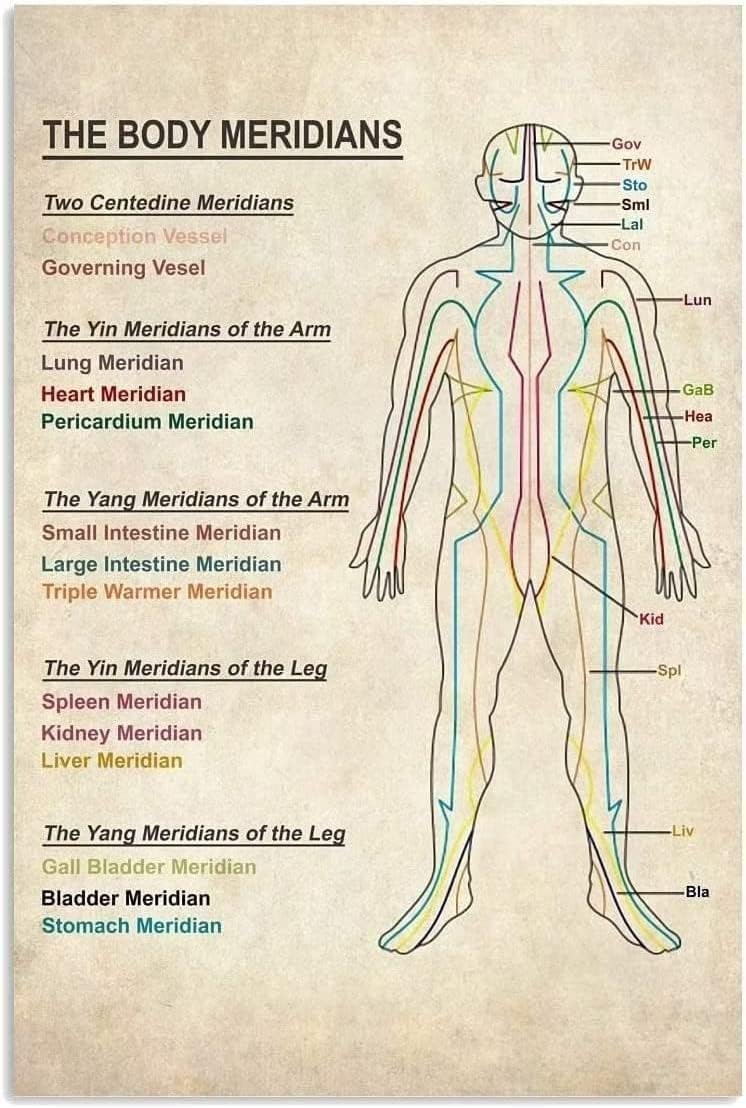 Home Gym Guide - Placas de Metal Vintage: Guia dos