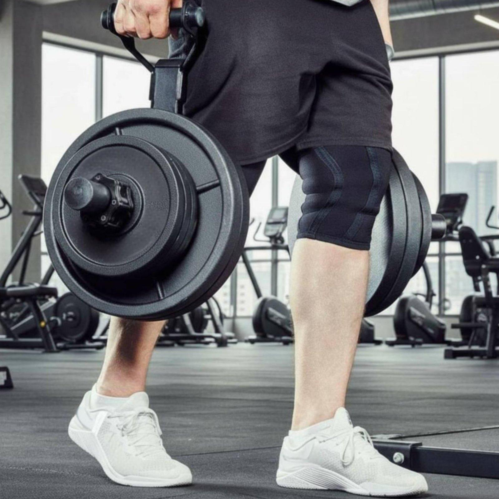 Suporte Organizador de Anilhas - Fitness Home Gym Equipment avaliação e preço