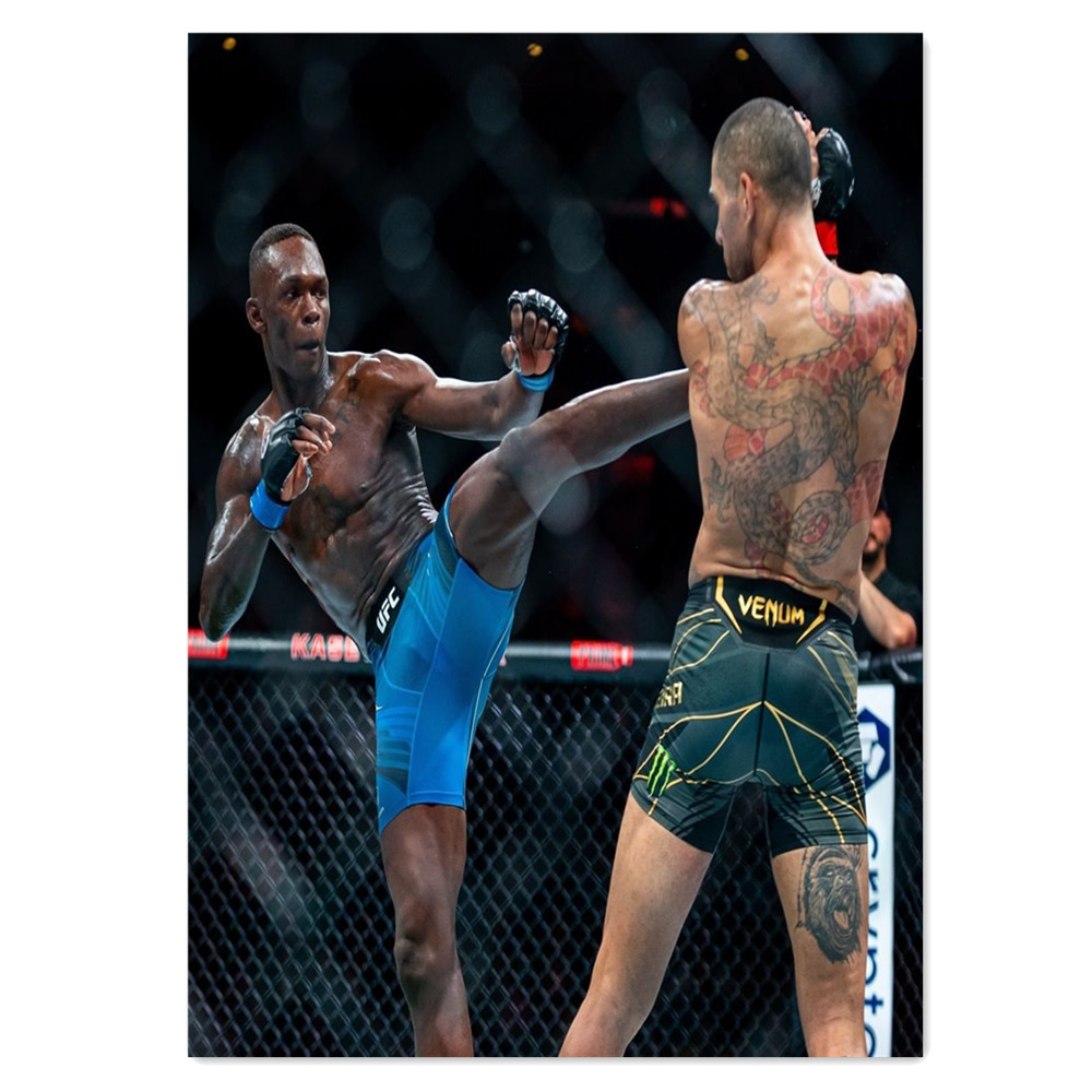 Pintura em Tela de Boxe e Musc - Home Gym Wallpaper avaliação e preço