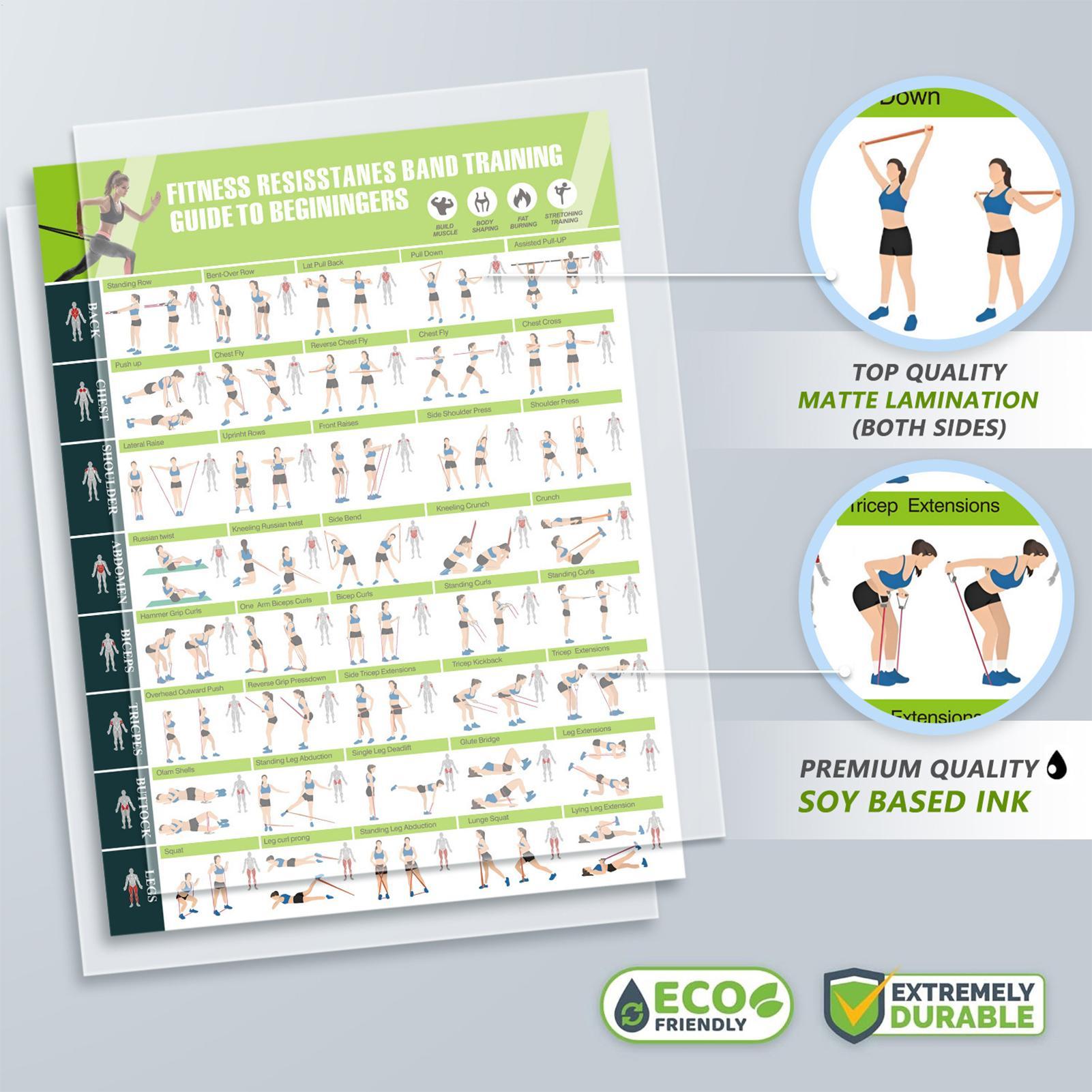 Pôsteres de Treino com Faixas  - Home Gym Guide avaliação e preço