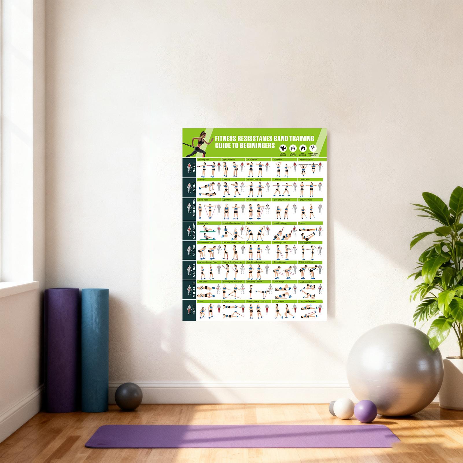 Pôsteres de Treino com Faixas  - Home Gym Guide avaliação e preço
