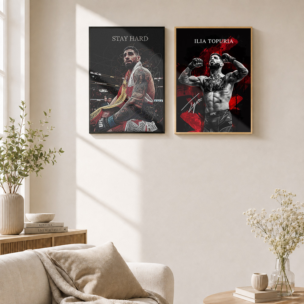 Pôster em Metal Emoldurado Ili - Home Gym Mma avaliação e preço