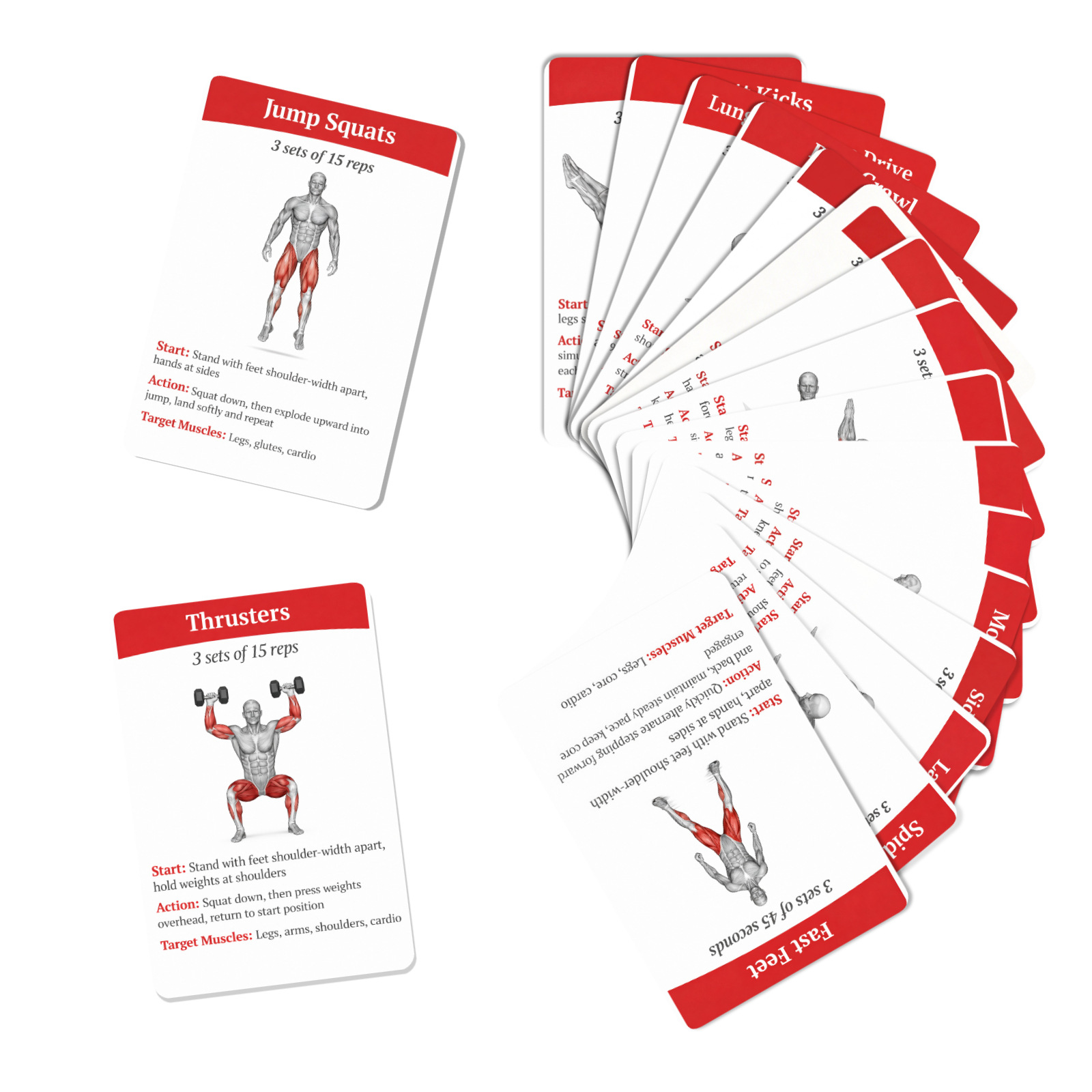 36 cartões guia de treino para - Home Gym Guide avaliação e preço